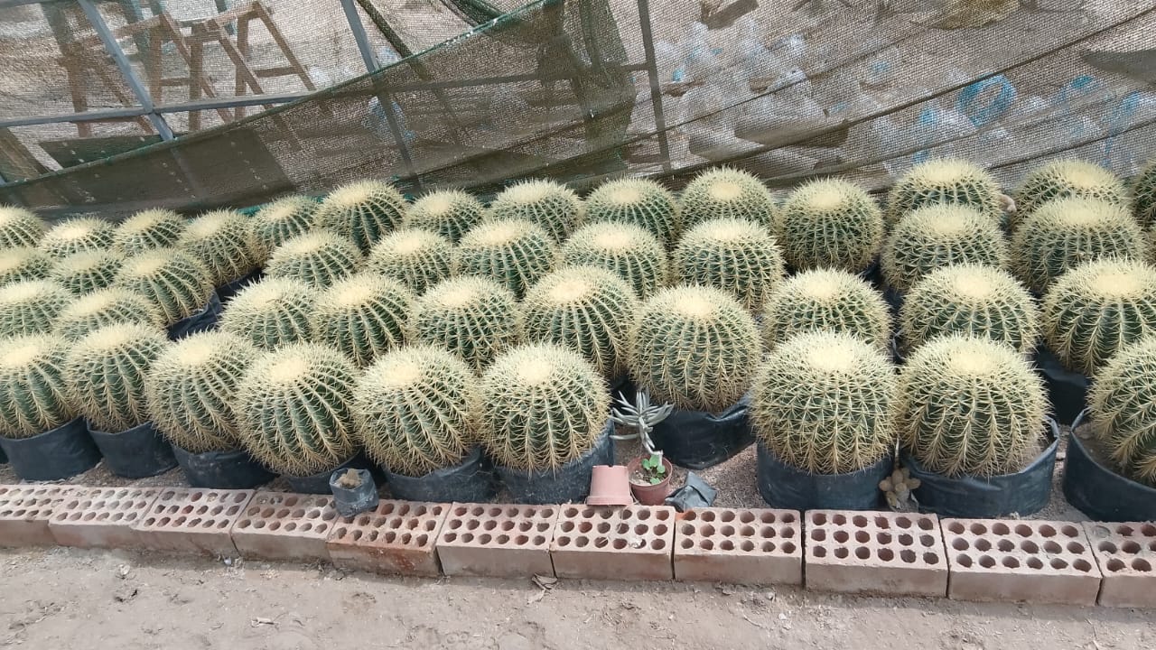 PLANTAS INTERIORES
